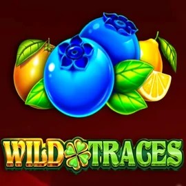 Play the Wild Traces slot by Amusnet Interactive on Lanista Casino